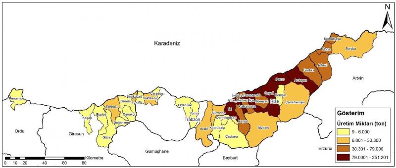 Türkiye'de Çay Üretimi