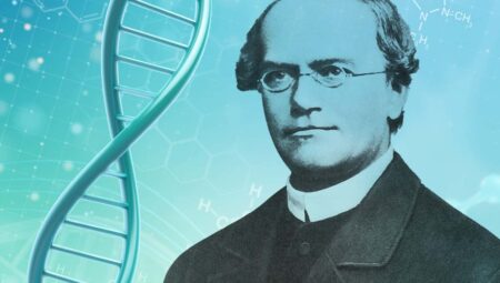 Gregor Mendel 2 Gregor Mendel